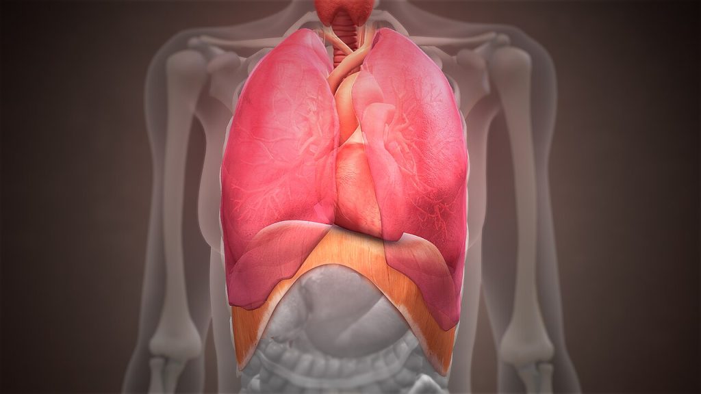Respiración diafragmática: cómo practicar sin forzar